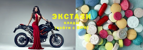 СК Алексин