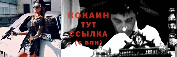 СК Алексин