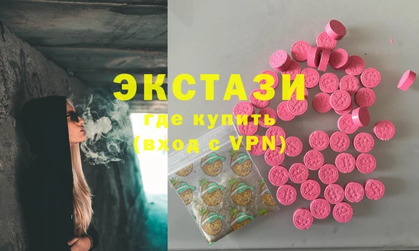 СК Алексин