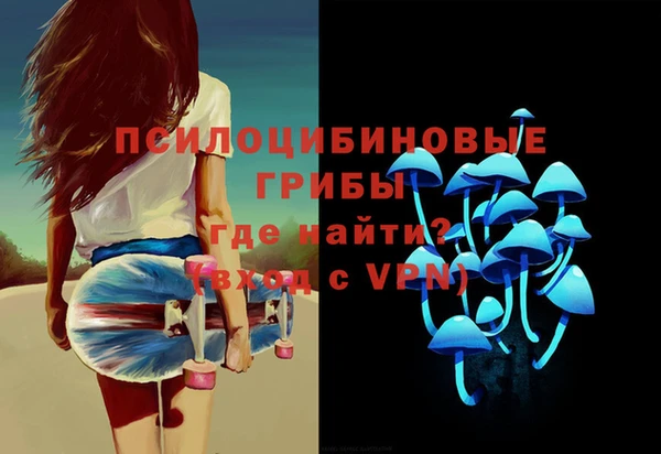 spice Абинск